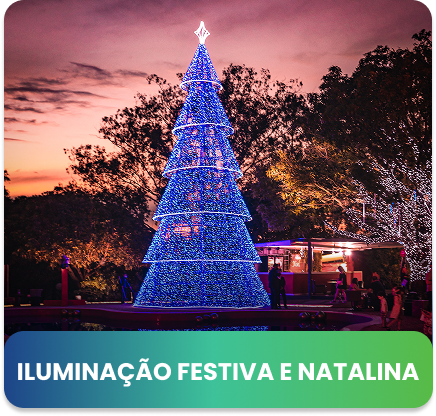 https://fosforo.cc/servicos/iluminacao-festiva-e-natalina/